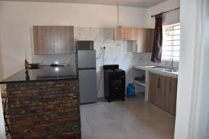 una cocina con refrigerador y encimera en Tabonina Apartments, en Livingstone