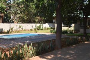 una piscina en un patio junto a un árbol en Tabonina Apartments, en Livingstone