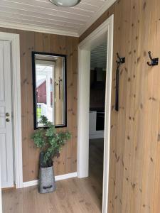 a hallway with a mirror and a potted plant at Koselig vestlandshus ved fjorden in Holmedal