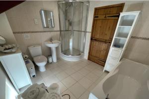 a bathroom with a shower and a toilet and a sink at An Old Granary Sleeps 4 - Private Hot Tub Rural in Broadwoodkelly +25 photos