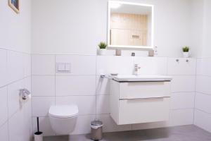 a white bathroom with a toilet and a sink at Haus Nordmöwe in Tossenserdeich +20 photos