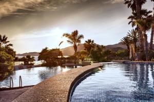 a swimming pool with palm trees at Hotel Stella Maris in Villasimius