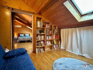 un soggiorno con divano e libreria di Le Lion de Venise a Saulon-la-Rue