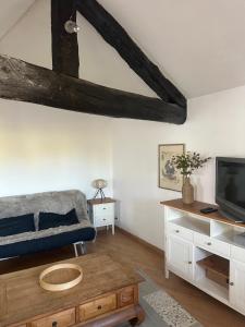 a living room with a couch and a tv at Petit Patapon - T2 Hyper Centre in Albi