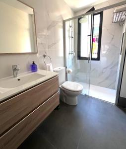 a bathroom with a toilet and a sink and a shower at Apartamentos El Escudero in Alcalá de Henares