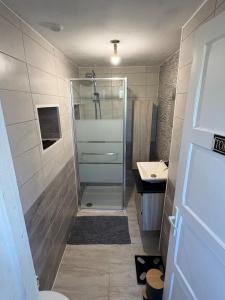 a bathroom with a shower and a sink at Appart tout confort et lumineux in Pont-Audemer