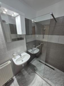 豪伊杜索博斯洛Fischer Apartman 2的带水槽和淋浴的浴室 更多13张照片