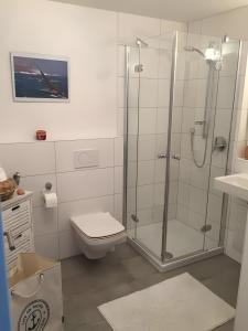 a bathroom with a shower with a toilet and a sink at Ferienwohnung Im Laubgarten in Öhningen