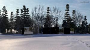 un edificio en la nieve con árboles en el fondo en Aurora Igloo Village Ylläs Luna Suite, en Ylläsjärvi 1 foto más