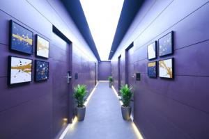 ノイダにあるFabHotel Prime Elegance Suitesの紫色の壁に鉢植えが置かれた廊下
