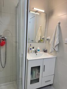 Koupelna v ubytování Habitacion sencilla en piso hogareño