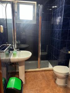a bathroom with a shower and a sink and a toilet at Pensión Agarimo in Trapagaran +4 photos