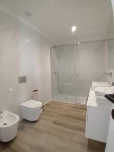 a white bathroom with a toilet and a shower at VAGUEIRA Sol in Vagos