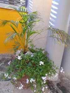 Gallery image of Martina's Executive Lodge in Trofwi +7 photos