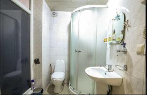 ItʼkhvisiにあるDL Hotel In Old Tbilisiのトイレ、洗面台、シャワー付きのバスルーム +9枚の写真