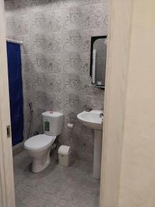 une salle de bains avec toilettes et lavabo dans l'établissement Apart Fenix, à Stantsiya Mukhiani