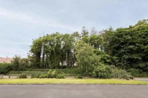 un parco con alberi e cespugli e una strada di Villier's Rest a Lucker