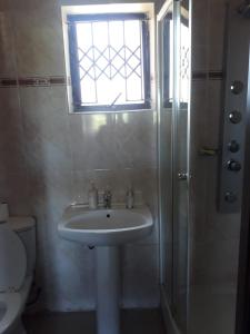 にあるThe Amazing Amazon Guesthouseのバスルーム(洗面台、窓付きシャワー付)