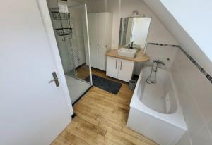 a bathroom with a toilet and a sink and a mirror at Maison des Cimes, Garden, cozy for 8 people in Ayzac-Ost +19 photos