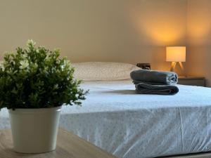 a bed with two towels and a potted plant on it at Chalet San Francisco in Sanlúcar de Barrameda
