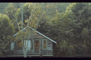 Příroda nedaleko chaty