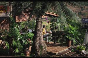 Zahrada ubytování Peaceful Stream Homestay + 27 fotografií