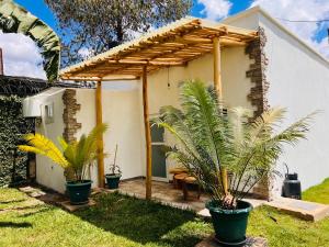 a pergola on a house with two palm trees at City Retreat Studio X in Arusha