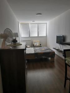 Фотография из галереи Andrej 62 в городе Beograd