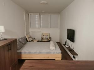 ein kleines Schlafzimmer mit einem Bett und einem Fernseher in der Unterkunft Andrej 62 in Beograd
