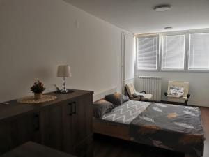 ein Schlafzimmer mit einem Bett und einem Tisch mit einer Lampe in der Unterkunft Andrej 62 in Beograd
