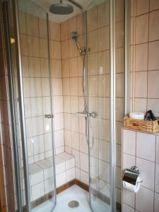 a bathroom with a shower and a toilet at Pension Weißer Hirsch in Schwarzenberg (Erzgebirge)