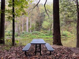 a picnic table in a park next to a pond at Hot Tub Fire Pit Grill Sleeping Porch & More in Mount Trimble