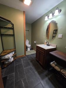 a bathroom with a sink and a toilet and a mirror at The Green Duck Lodge at Fort Landing in Alligator in Columbia