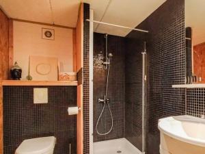 a bathroom with a shower and a toilet and a sink at La Belle vue in Durbuy