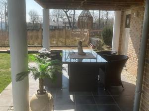 a cat sitting on a glass table on a patio at La Belle vue in Durbuy +7 photos