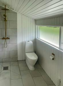 a bathroom with a toilet and a window in it at Holiday Home Near Fjerritslev With Fenced Garden in Fjerritslev +15 photos