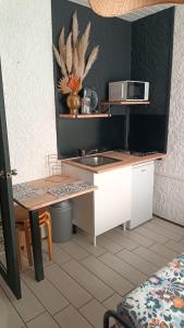 una cucina con lavello e microonde di Le WORLD, studio 3 minutes from Futuroscope a Chasseneuil-du-Poitou