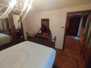 a bedroom with a bed and a mirror at Il Borghetto in Villaretto