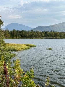 a large body of water with mountains in the background at Bytoppen top of the island in Tromsø +20 photos