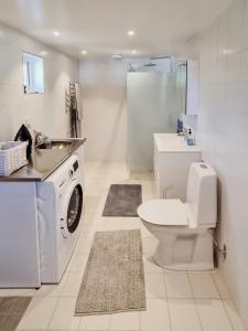 a bathroom with a washing machine and a sink at Modern Guest House Near The Sea In Brösarp in Brösarp