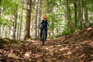 a person riding a bike on a trail in the woods at Anatura Ardenne in La Roche-en-Ardenne