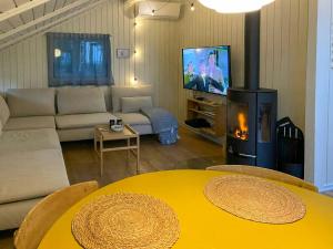 ein Wohnzimmer mit Couch und Kamin in der Unterkunft Holiday Home Between Beach And Forest On Mors in Sillerslev