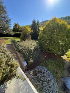 a garden with bushes and trees and a road at Castelvetri B&B in Castiglione dei Pepoli