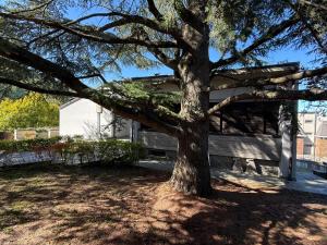 a tree in a yard next to a house at Castelvetri B&B in Castiglione dei Pepoli