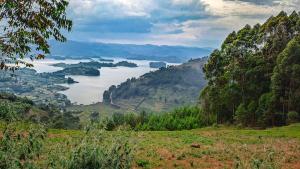 Afbeelding uit fotogalerij van Sharp Island Gorilla Lodge, Lake Bunyonyi in Kashasha