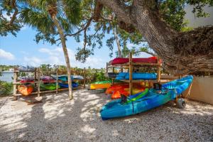 a group of kayaks on the beach under a tree at Book Me Baby! Bayview Beauty at Siesta Key in Siesta Key
