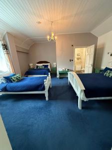 a bedroom with two beds and blue carpet at Coast Lodge in Spanish Point