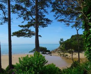 a beach with trees and the ocean in the background at Bear Cottage - Waterfall Country in Glyn Neath