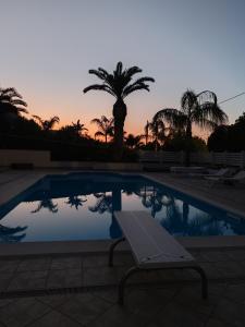 a pool with a bench next to a palm tree at Villa Girolama in Tonnara di Bonagia