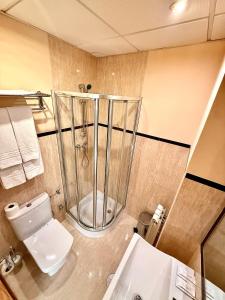 a bathroom with a shower and a toilet in it at Hotel Fernando IV in Martos